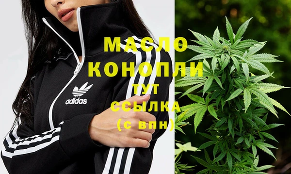 стаф Абинск