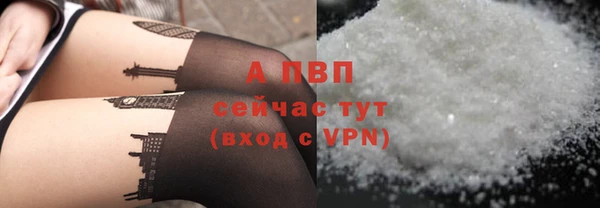 стаф Абинск