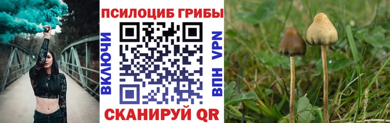 Псилоцибиновые грибы Magic Shrooms  купить наркотики цена  Балахна 
